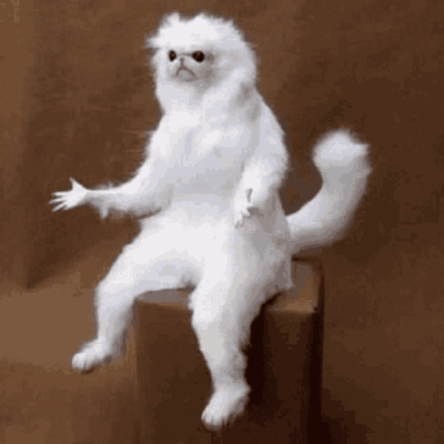 huh??